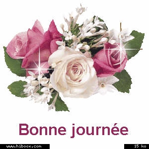 bonne journée à tous